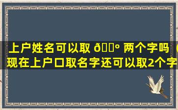 上户姓名可以取 🐺 两个字吗（现在上户口取名字还可以取2个字吗）